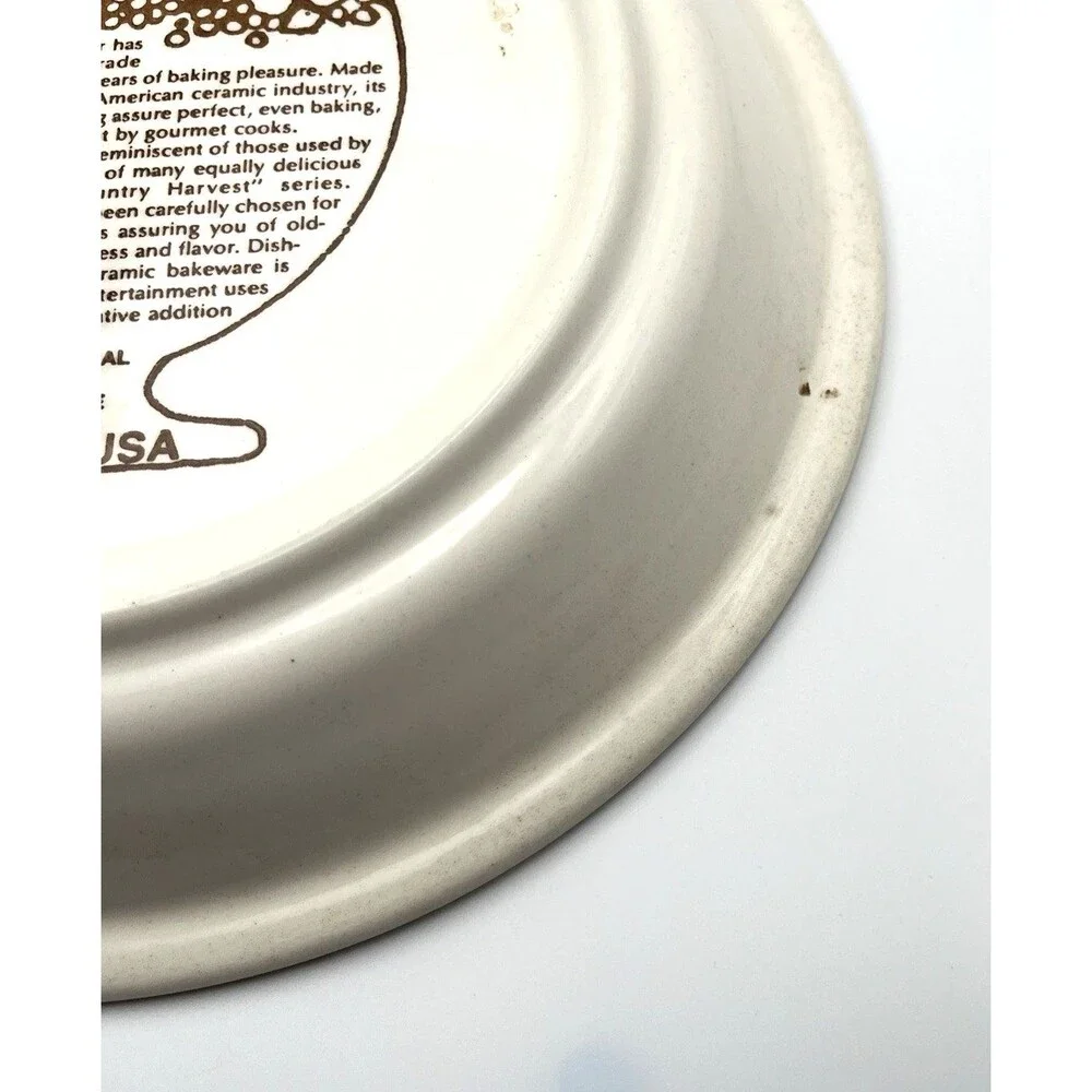Vintage 1983 Royal China Country Harvest Apple Pie Recipe Baking Pie Plate USA